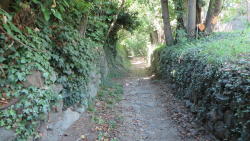 foto escursione